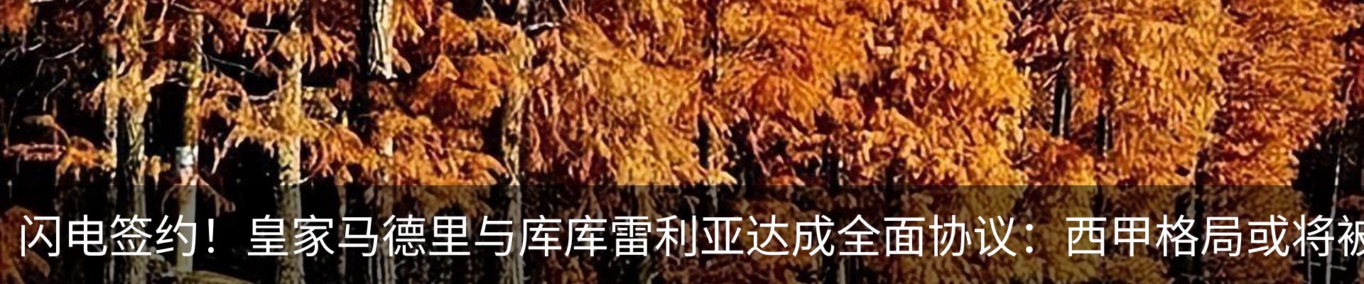 行业资讯